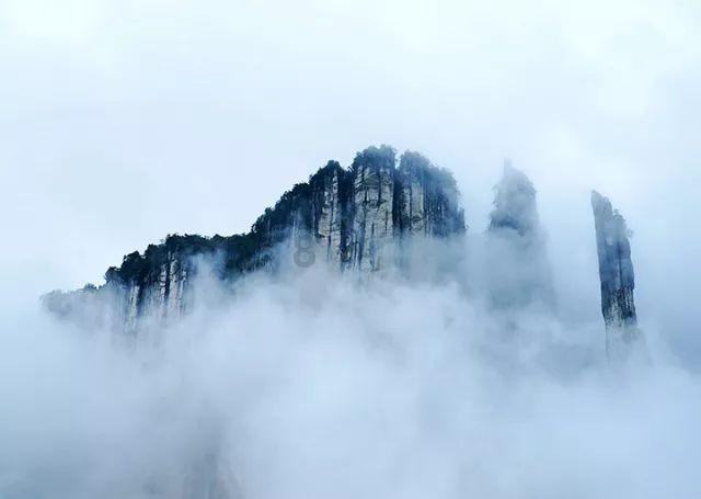 口袋森林世界杯传球大赛