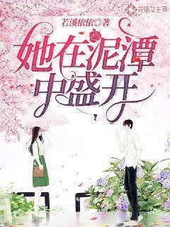 圣铠传说