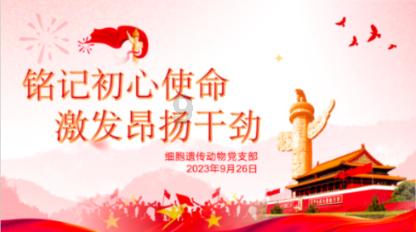 逃出小象森林