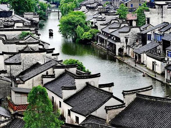 植物大战僵尸16